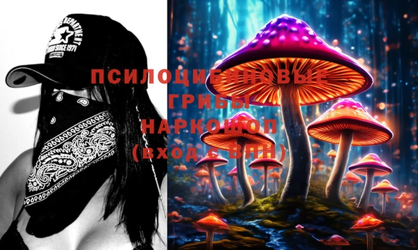 дживик Аркадак